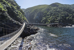 Tsitsikamma National Park with Suspension Bridge