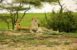 Tarangire National Park