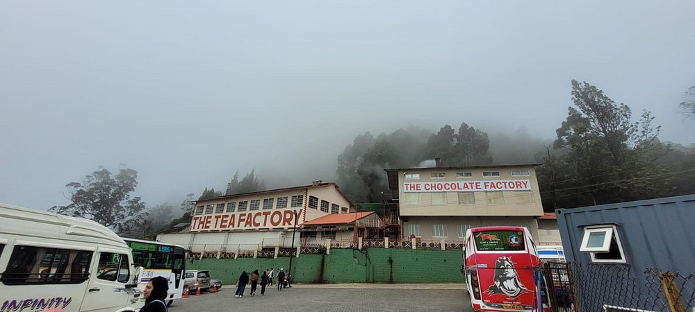Tea Factory / Museum