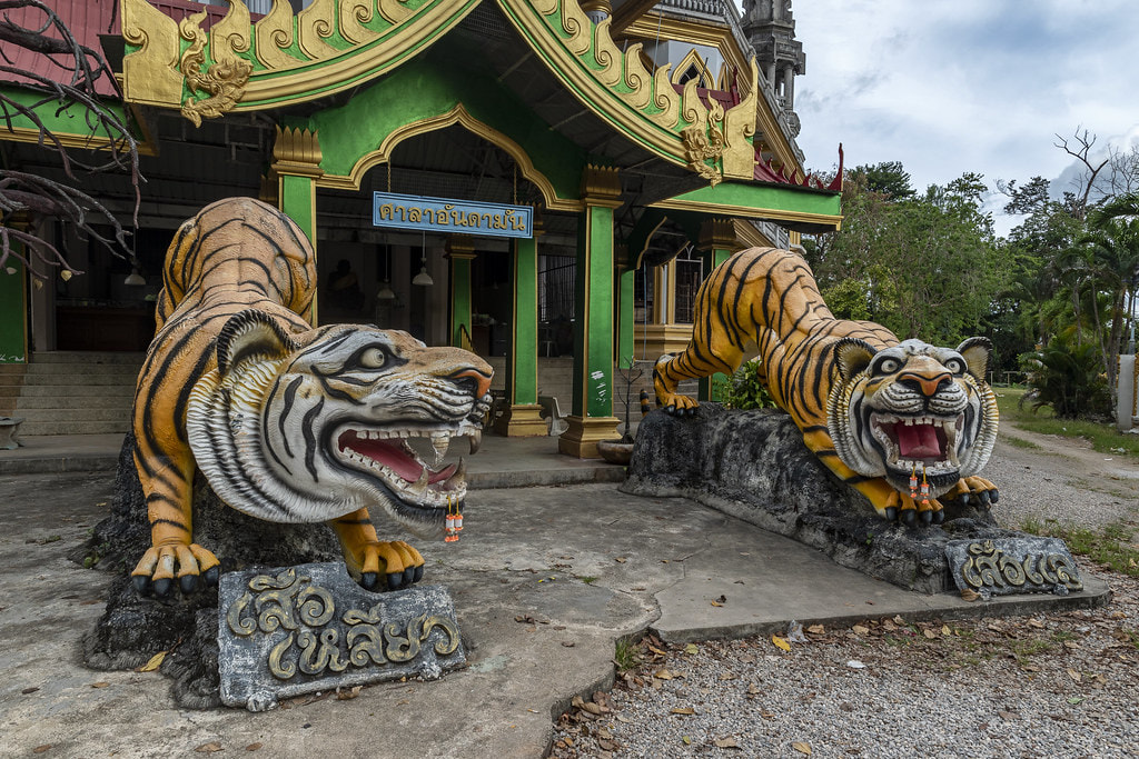 Tiger Cave Temple 1