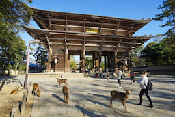 Todai-ji Temple With Deer park