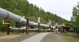 Photo stop at Trans Alaska Pipeline 2