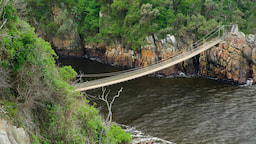 Tsitsikamma National Park with Suspension Bridge Walk