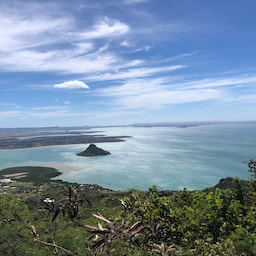 Viewpoint French Mountain