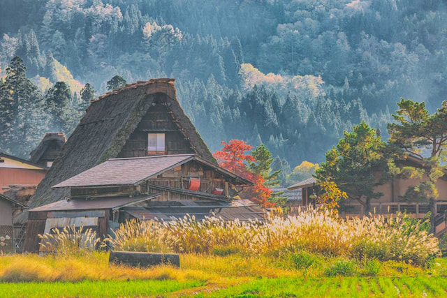 visit shirakawa go village