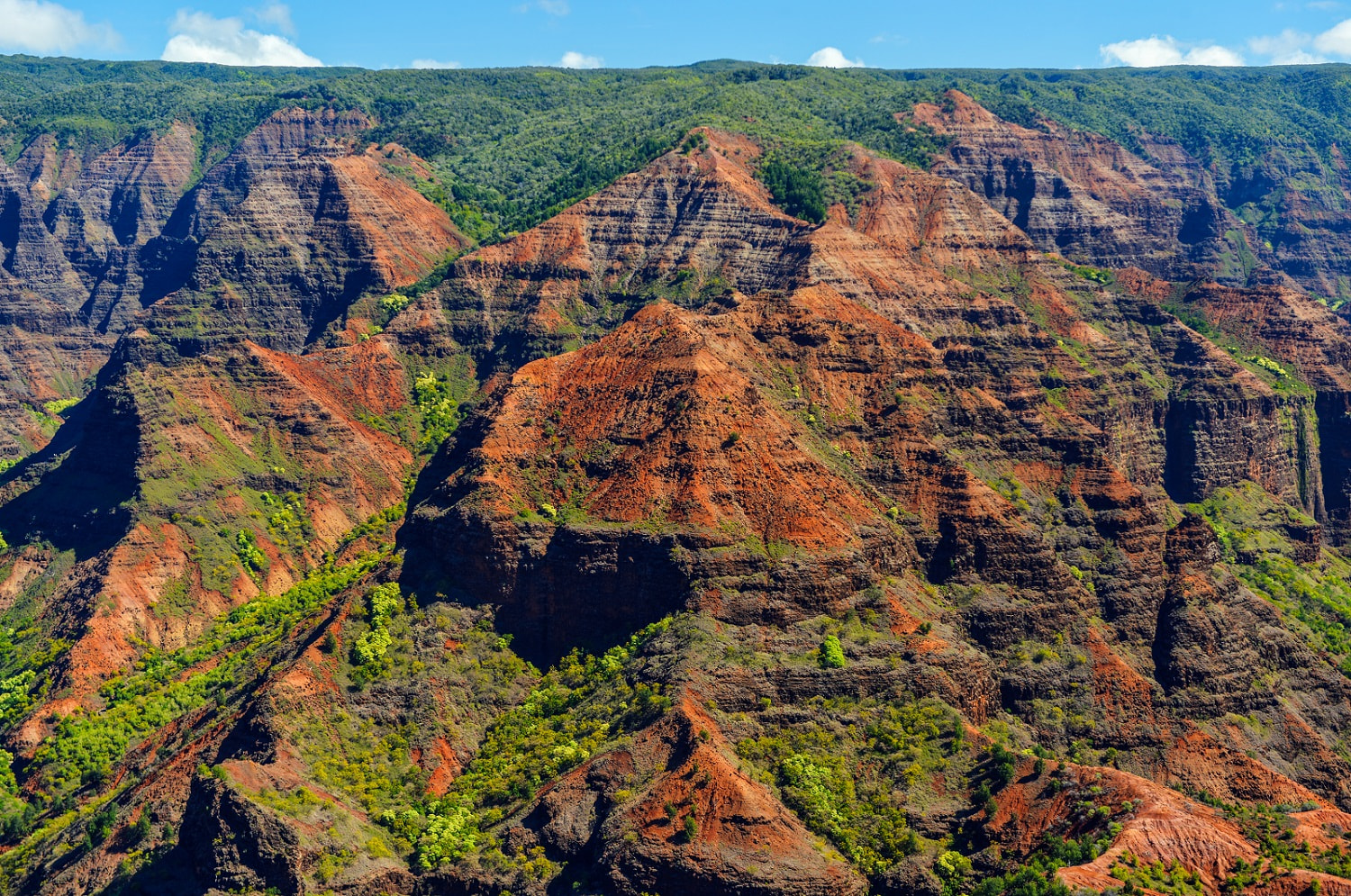 Waimea Canyon 2