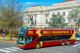 Big Bus Washington