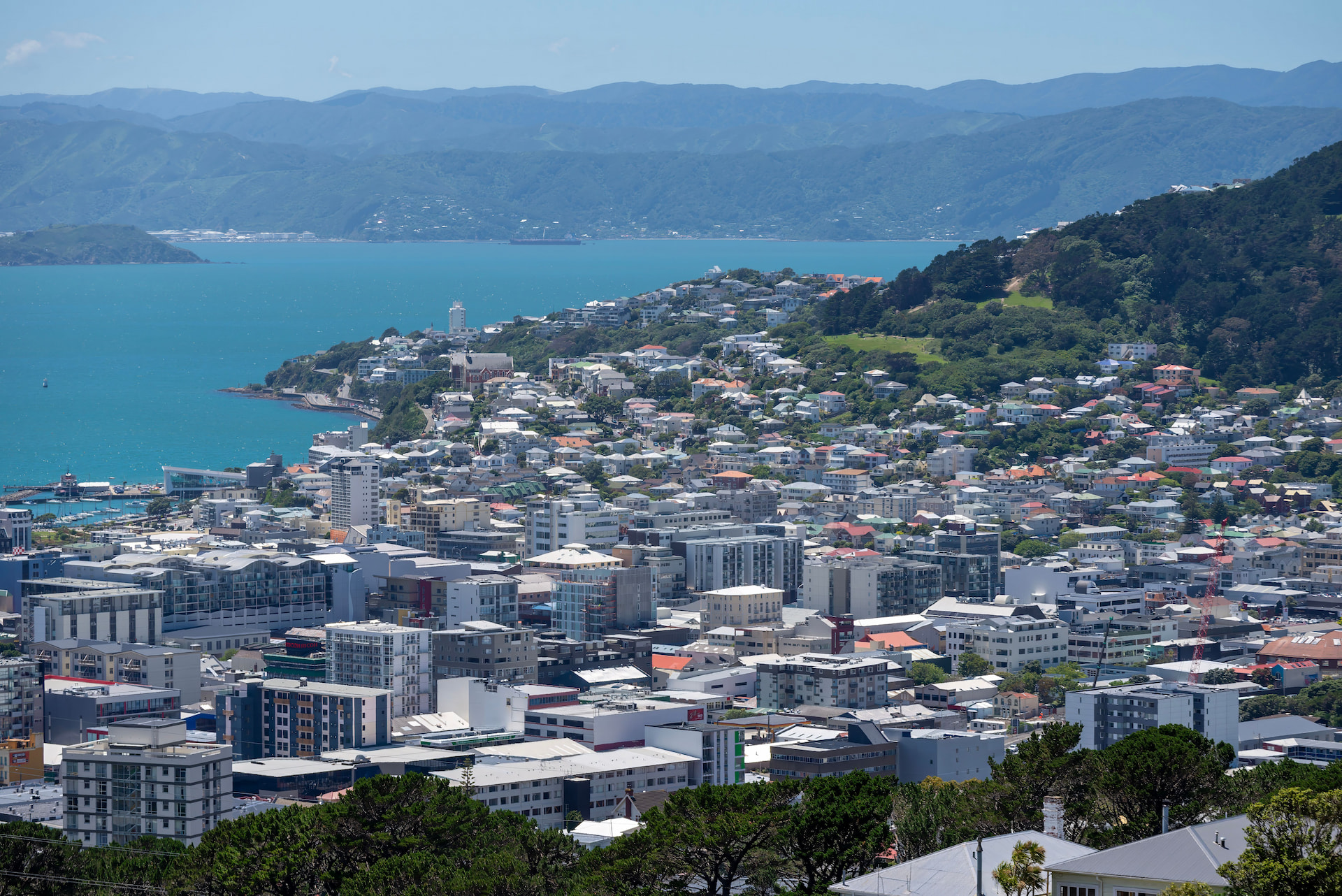 Wellington City 1