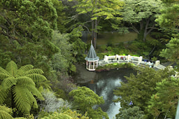 Wellington Botanic Gardens 1