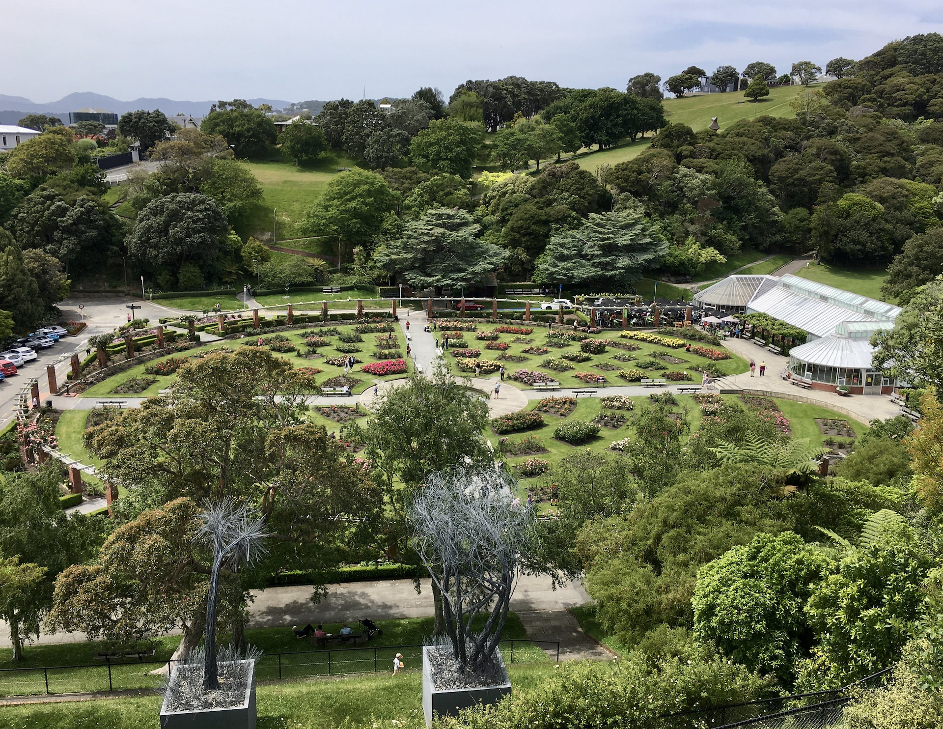 Wellington Botanic Gardens Overview 1