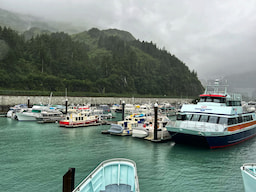 26 Glaciers Cruise 1