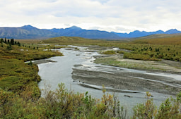 Tundra Wilderness Tour 1