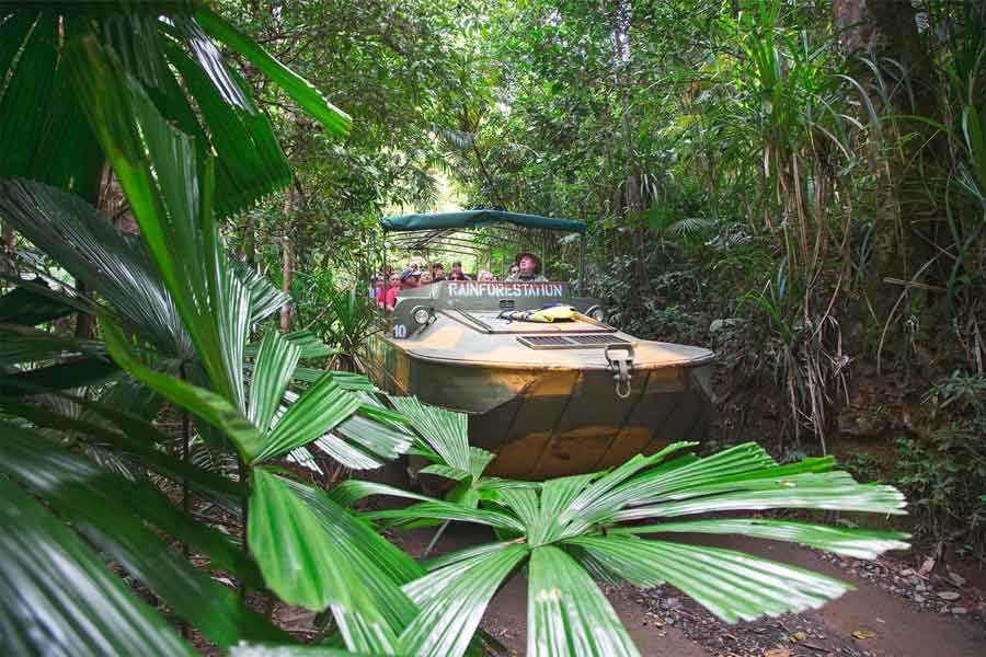 Wildlife Habitat Port Douglas 1