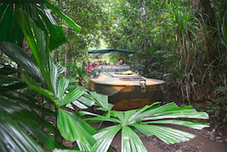 Wildlife Habitat Port Douglas 1