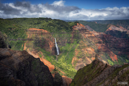 Kauai Waimea Canyon Tour
