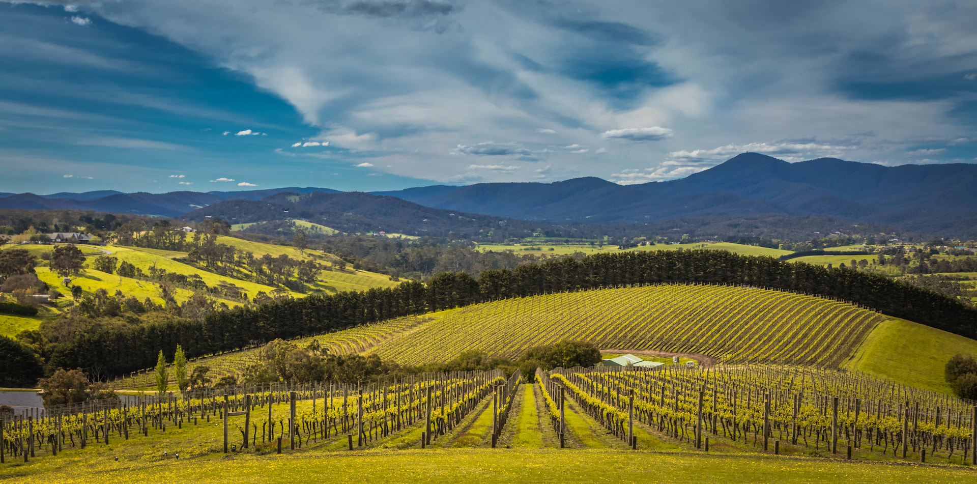 Yarra Valley 1