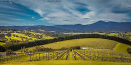 Yarra Valley 1