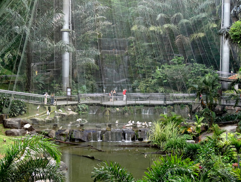 Bird Park