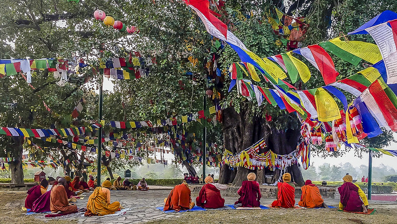 Bodhi Tree