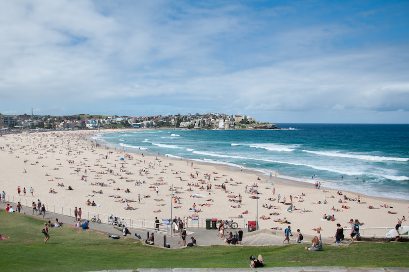 Half Day City tour with Bondi Beach Tour