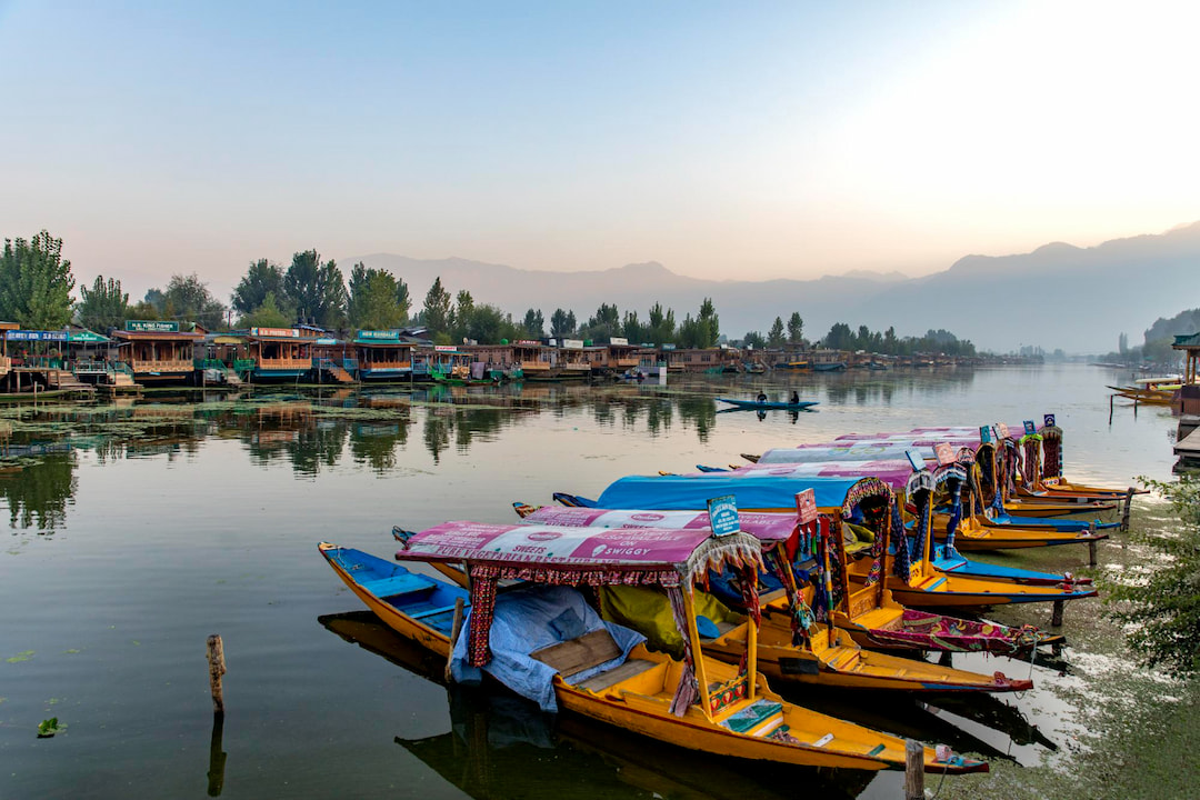 Dal-Lake