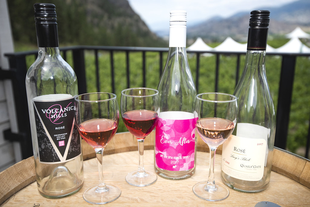 Drink Wine In Okanagan Valley-1