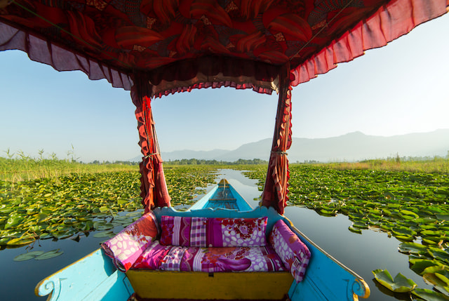 Enjoy a Shikara Ride on Dal Lake