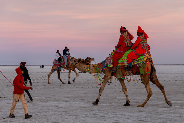 Explore Rann of Kutch
