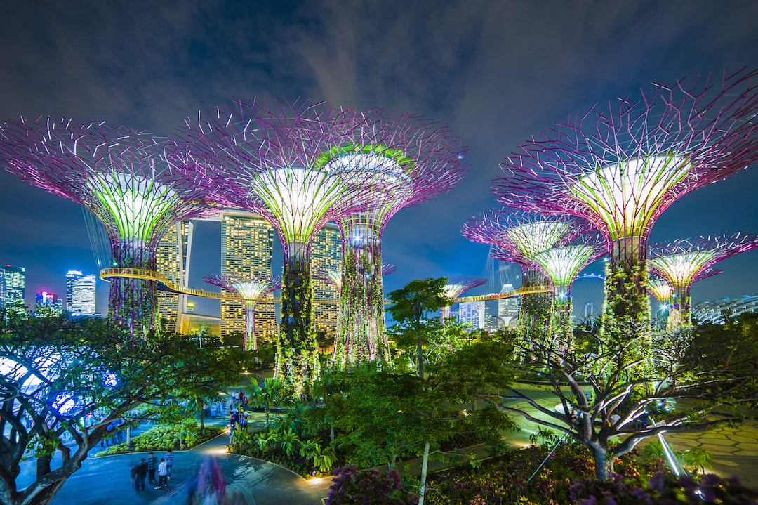 Gardens By The Bay