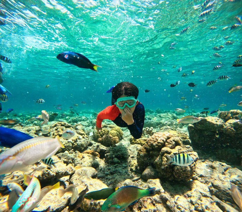 Go Snorkeling At Pigeon Island