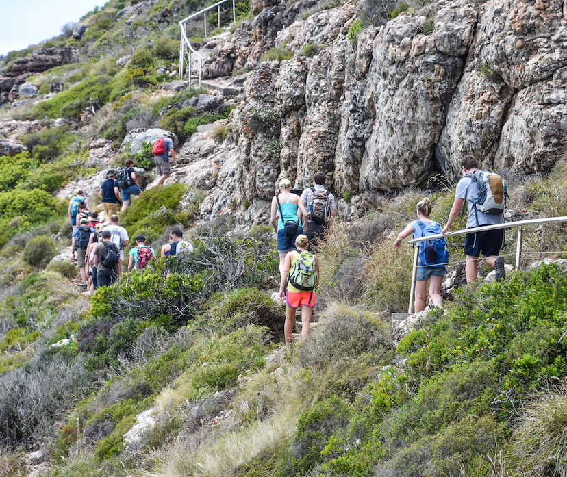 Go Table Mountain Adventure Hiking
