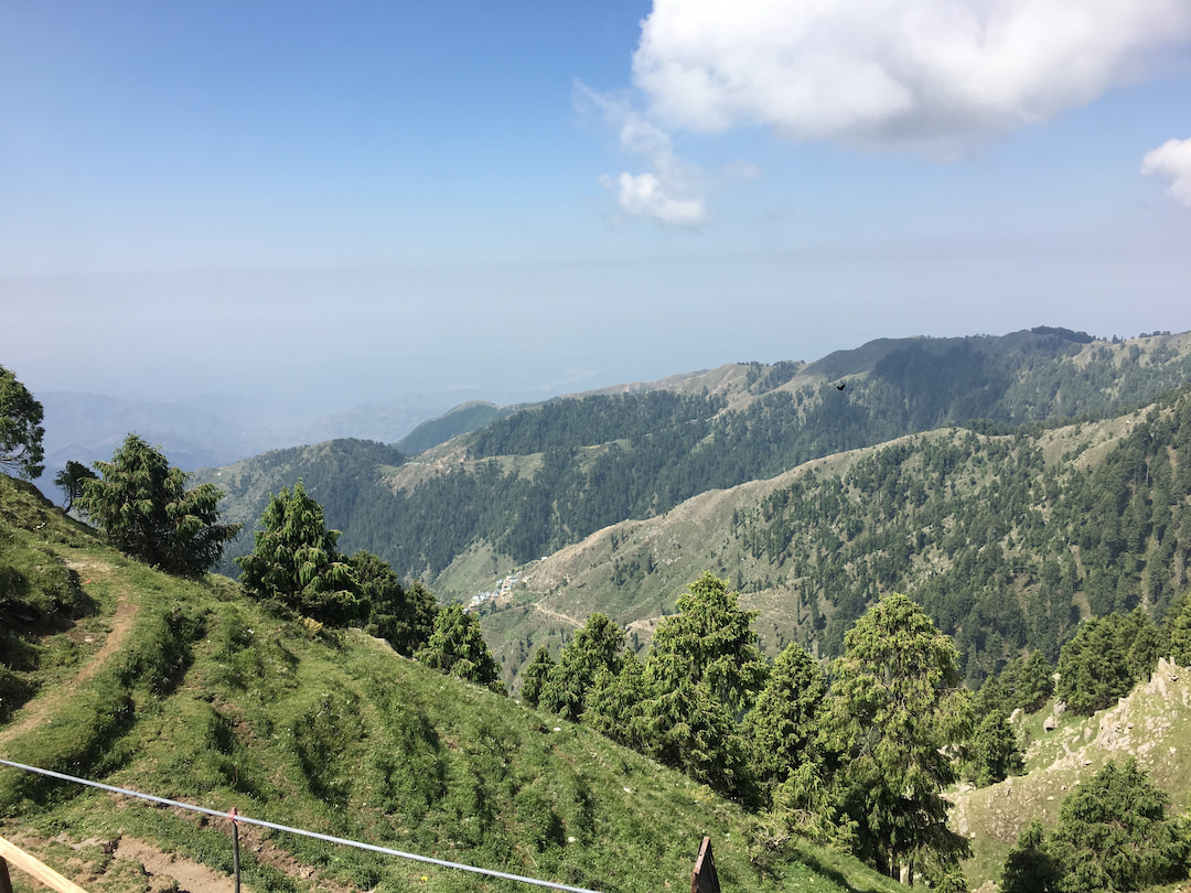 Go for Trek to Dainkund Peak