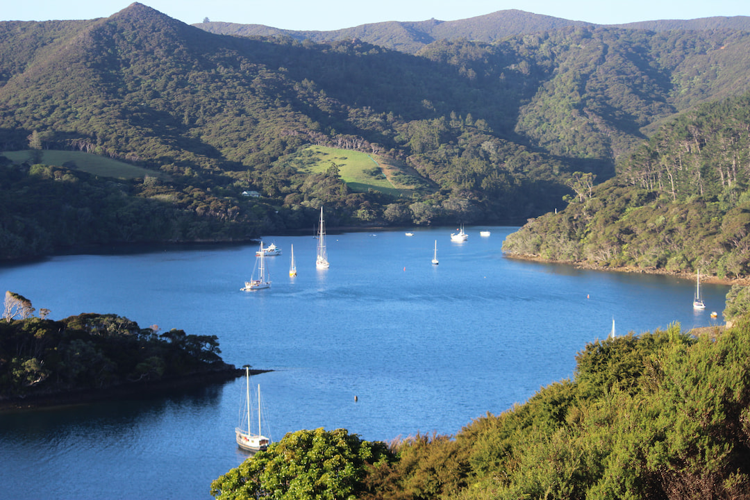 Great Barrier Island