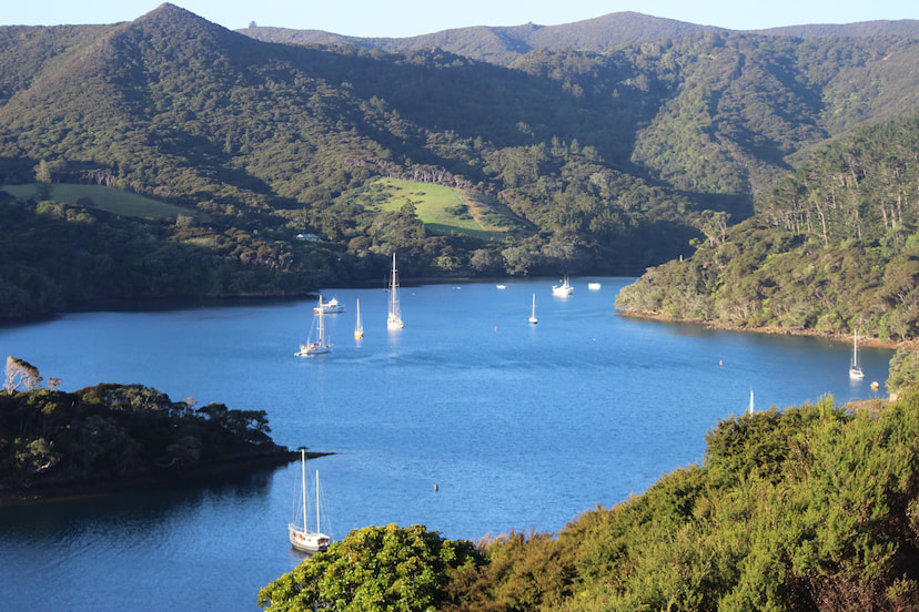 Great Barrier Island