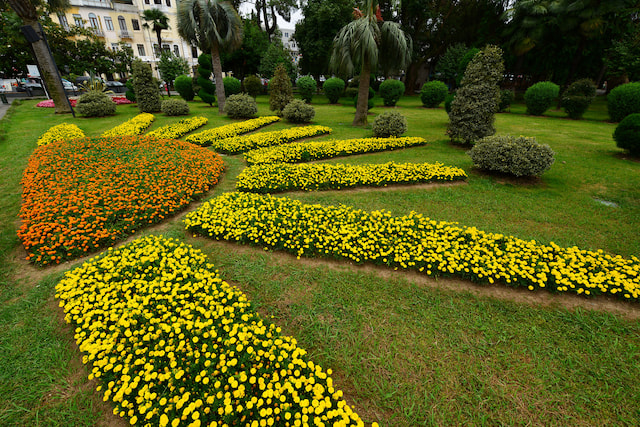 Hakgala Botanical Garden