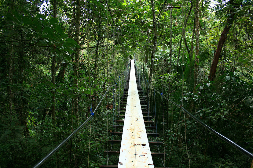 Enjoy water sports at Mafia Island - 1