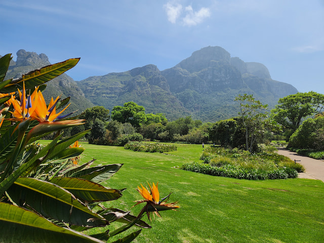 Kirstenbosch Botanical Garden