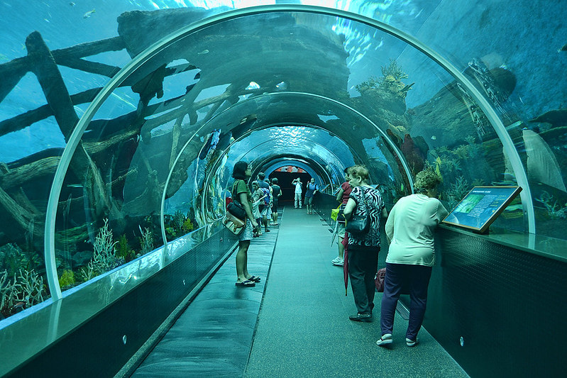 Marine Park S.E.A Aquarium