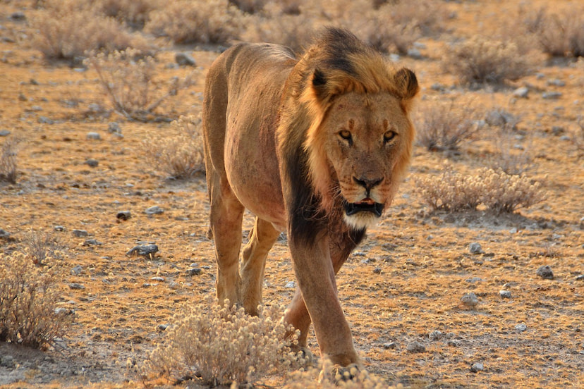 Serengeti National Park