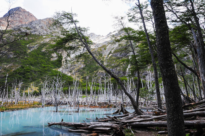 Shonga-tser Lake