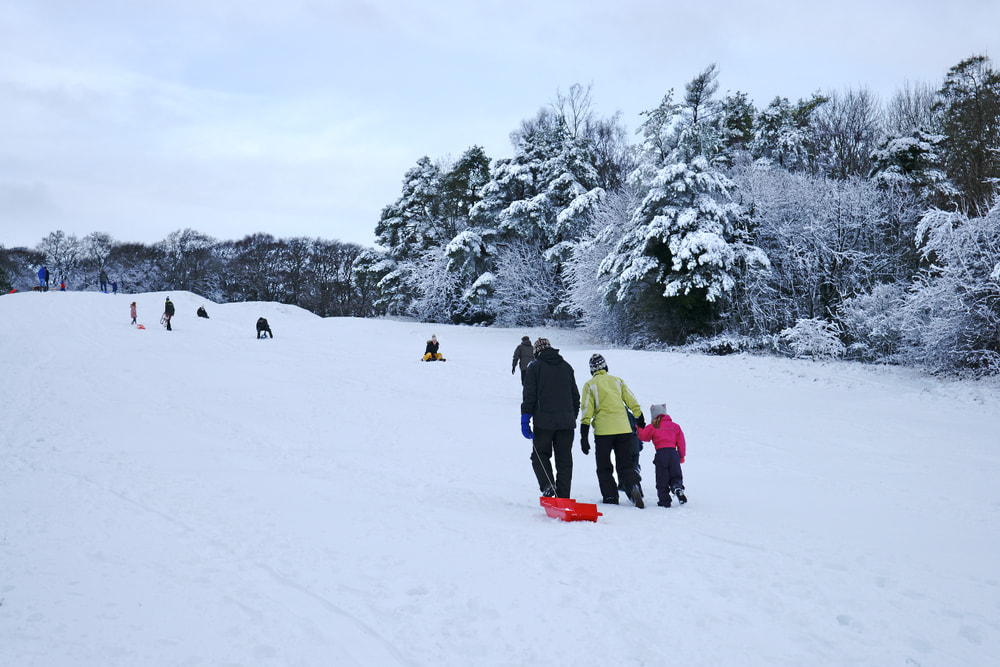 Sledging in Chandanwari