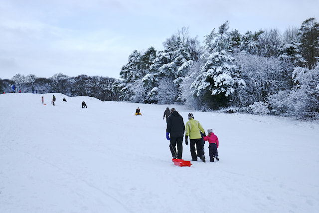 Sledging in Chandanwari