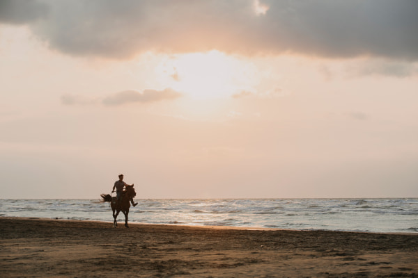 Horse Riding On The Beach