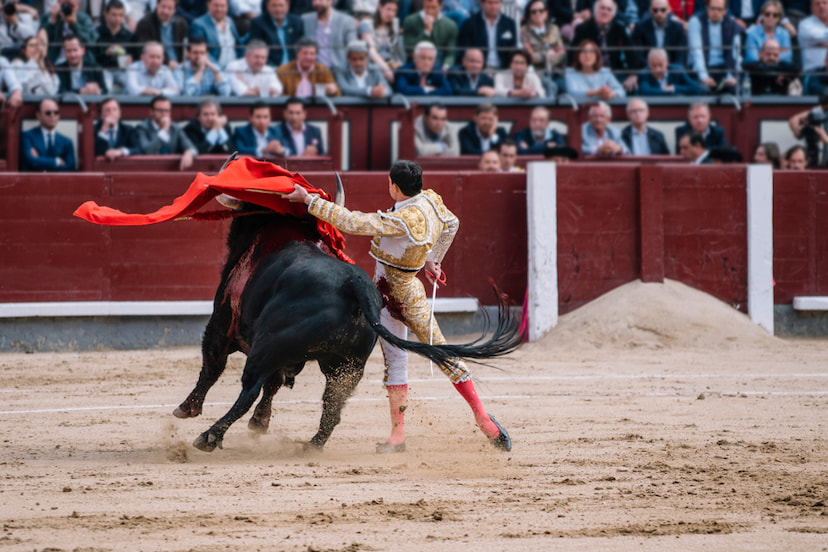 Watch a bullfight
