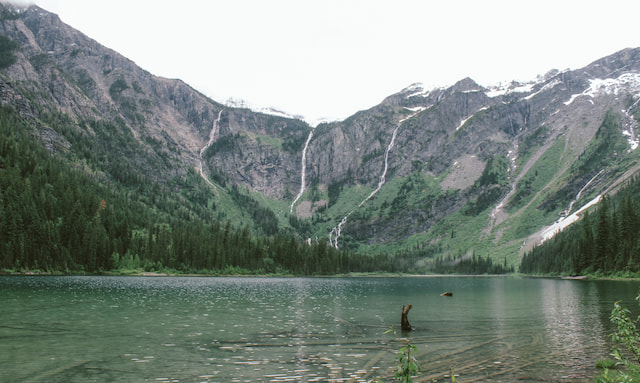 Cliff Dive At Horseshoe Lake