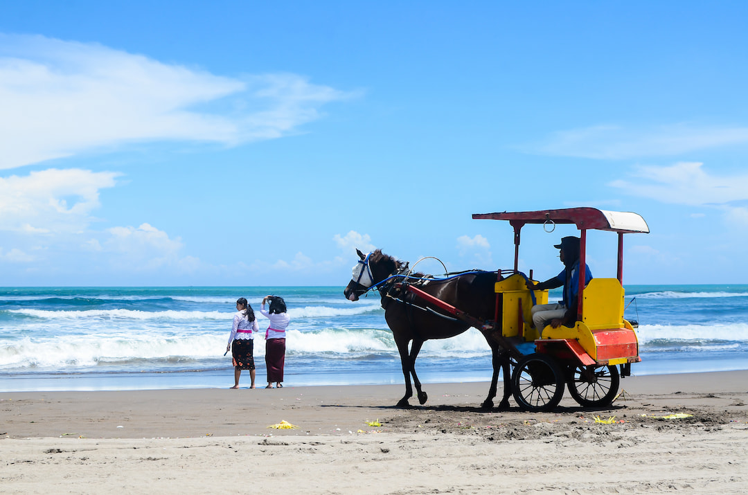 Cidomo Tour In Bali and Gili Island