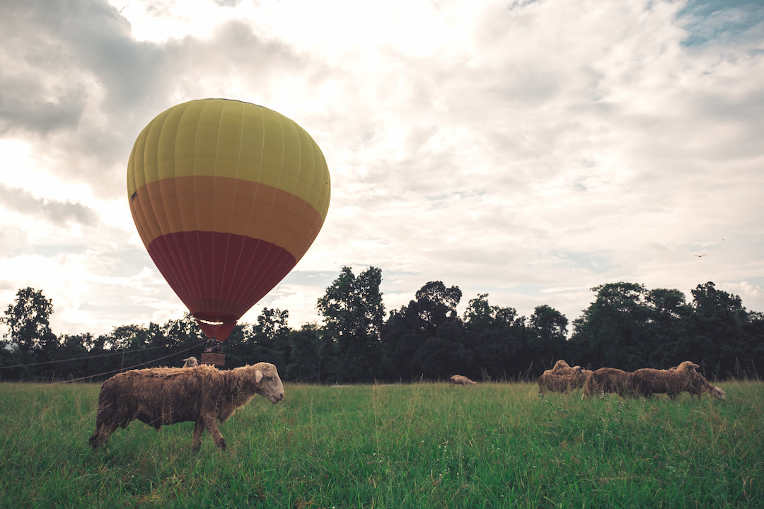 Go Hot Air Ballooning across the picturesque Yarra Valley