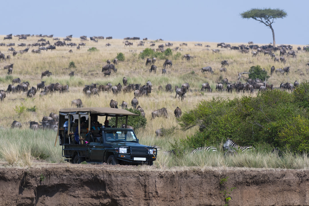 Masai Mara Game Drive
