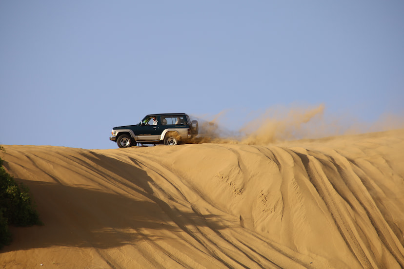 Desert Safari with BBQ Dinner