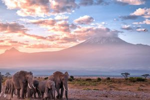 Traveling to Kenya? Don&#8217;t miss out on these activities